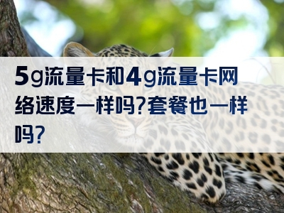 5g流量卡和4g流量卡网络速度一样吗？套餐也一样吗？