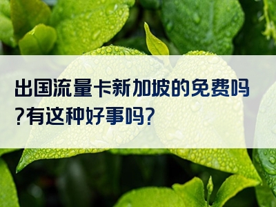 出国流量卡新加坡的免费吗？有这种好事吗？