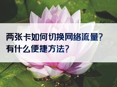 两张卡如何切换网络流量？有什么便捷方法？