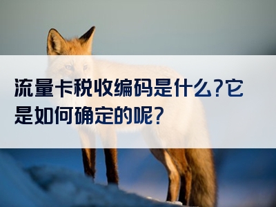 流量卡税收编码是什么？它是如何确定的呢？