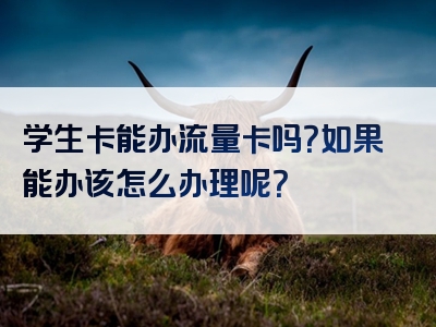学生卡能办流量卡吗？如果能办该怎么办理呢？
