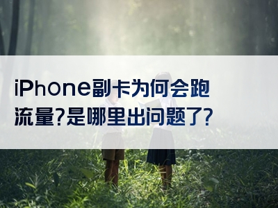 iPhone副卡为何会跑流量？是哪里出问题了？