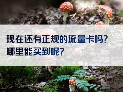 现在还有正规的流量卡吗？哪里能买到呢？