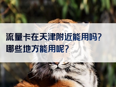 流量卡在天津附近能用吗？哪些地方能用呢？