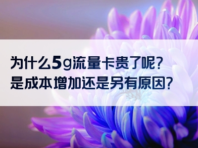 为什么5g流量卡贵了呢？是成本增加还是另有原因？