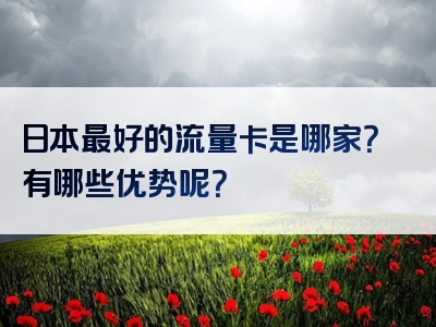 日本最好的流量卡是哪家？有哪些优势呢？