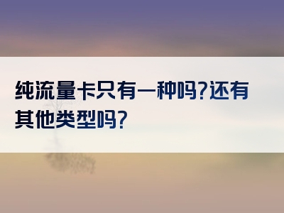 纯流量卡只有一种吗？还有其他类型吗？
