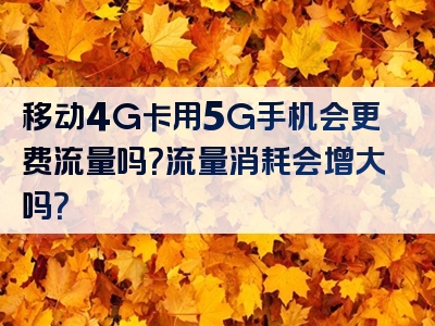 移动4G卡用5G手机会更费流量吗？流量消耗会增大吗？