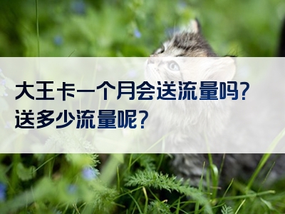 大王卡一个月会送流量吗？送多少流量呢？