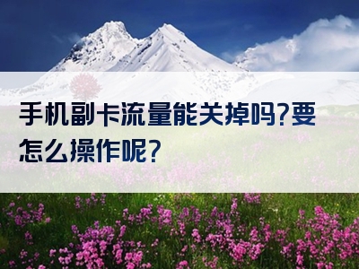 手机副卡流量能关掉吗？要怎么操作呢？