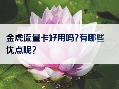 金虎流量卡好用吗？有哪些优点呢？
