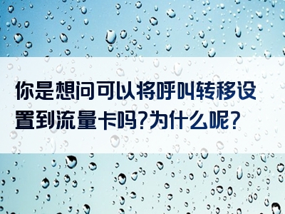 你是想问可以将呼叫转移设置到流量卡吗？为什么呢？