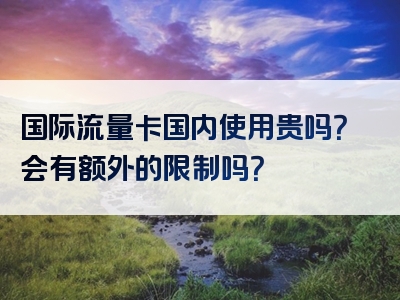 国际流量卡国内使用贵吗？会有额外的限制吗？
