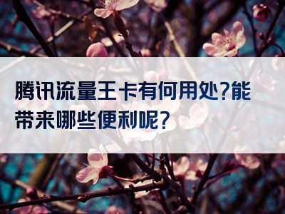 腾讯流量王卡有何用处？能带来哪些便利呢？