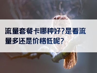 流量套餐卡哪种好？是看流量多还是价格低呢？