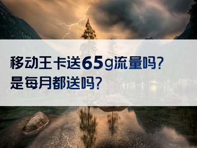 移动王卡送65g流量吗？是每月都送吗？