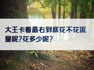 大王卡看最右到底花不花流量呢？花多少呢？