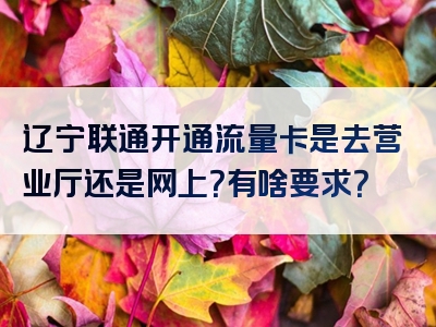 辽宁联通开通流量卡是去营业厅还是网上？有啥要求？