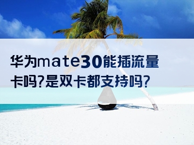 华为mate30能插流量卡吗？是双卡都支持吗？