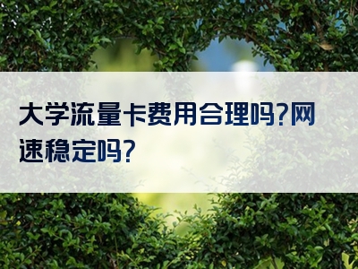 大学流量卡费用合理吗？网速稳定吗？