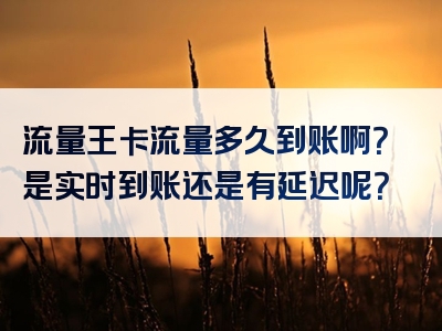流量王卡流量多久到账啊？是实时到账还是有延迟呢？