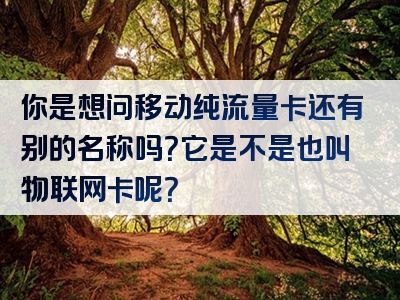 你是想问移动纯流量卡还有别的名称吗？它是不是也叫物联网卡呢？