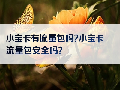 小宝卡有流量包吗？小宝卡流量包安全吗？