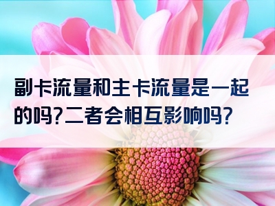 副卡流量和主卡流量是一起的吗？二者会相互影响吗？