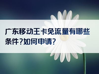 广东移动王卡免流量有哪些条件？如何申请？