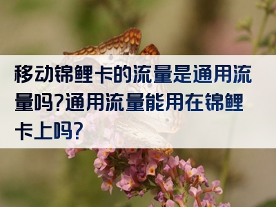 移动锦鲤卡的流量是通用流量吗？通用流量能用在锦鲤卡上吗？