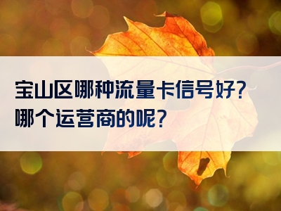 宝山区哪种流量卡信号好？哪个运营商的呢？