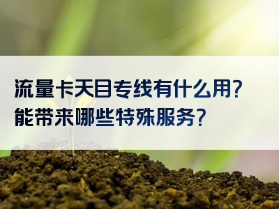 流量卡天目专线有什么用？能带来哪些特殊服务？