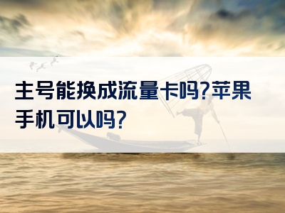 主号能换成流量卡吗？苹果手机可以吗？
