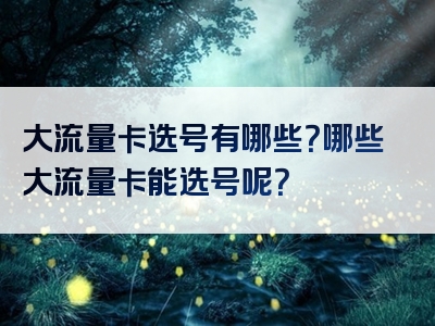 大流量卡选号有哪些？哪些大流量卡能选号呢？