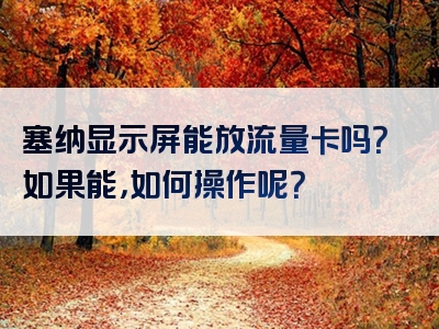 塞纳显示屏能放流量卡吗？如果能，如何操作呢？