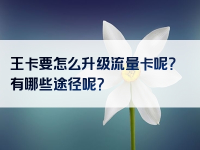 王卡要怎么升级流量卡呢？有哪些途径呢？