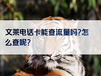 文莱电话卡能查流量吗？怎么查呢？