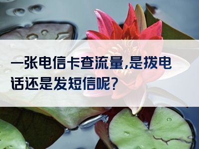 一张电信卡查流量，是拨电话还是发短信呢？