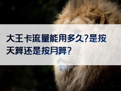 大王卡流量能用多久？是按天算还是按月算？