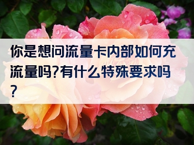 你是想问流量卡内部如何充流量吗？有什么特殊要求吗？