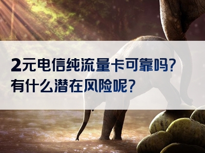 2元电信纯流量卡可靠吗？有什么潜在风险呢？