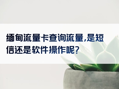 缅甸流量卡查询流量，是短信还是软件操作呢？