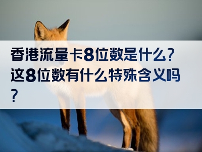 香港流量卡8位数是什么？这8位数有什么特殊含义吗？