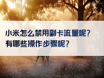 小米怎么禁用副卡流量呢？有哪些操作步骤呢？