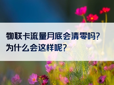 物联卡流量月底会清零吗？为什么会这样呢？