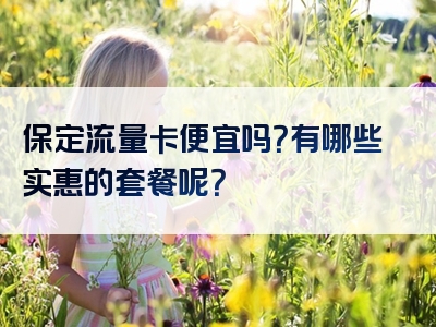 保定流量卡便宜吗？有哪些实惠的套餐呢？