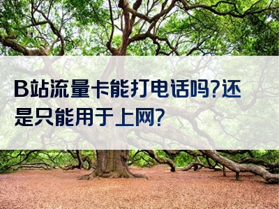 B站流量卡能打电话吗？还是只能用于上网？
