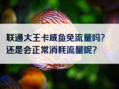 联通大王卡咸鱼免流量吗？还是会正常消耗流量呢？