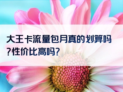 大王卡流量包月真的划算吗？性价比高吗？