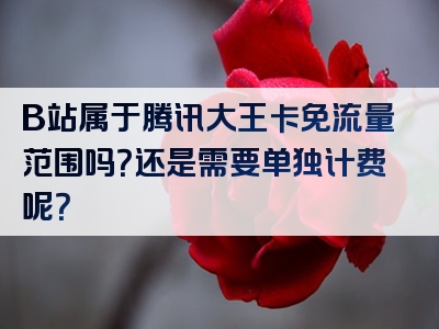 B站属于腾讯大王卡免流量范围吗？还是需要单独计费呢？